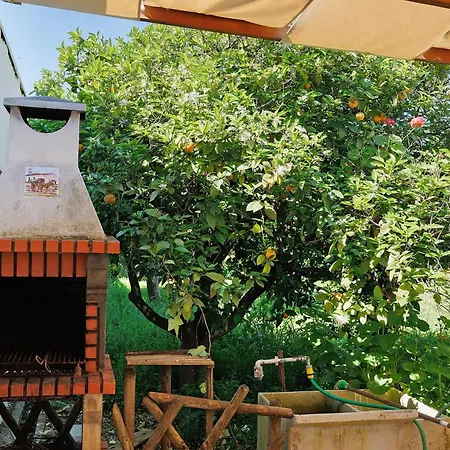 Фермерский дом Quinta Da Amendoeira Foz (Faro)