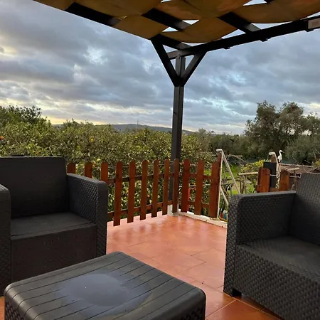 Quinta Da Amendoeira