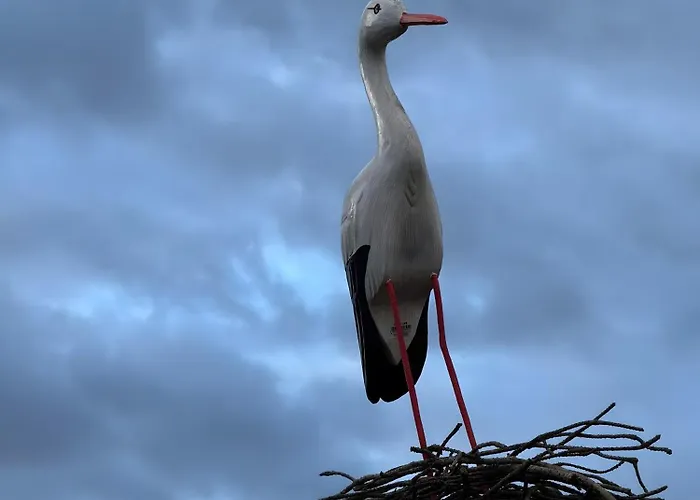 Quinta Da Amendoeira *